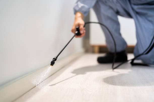 Licensed Pest Control service in Bath, ME - Show Me Pest Control