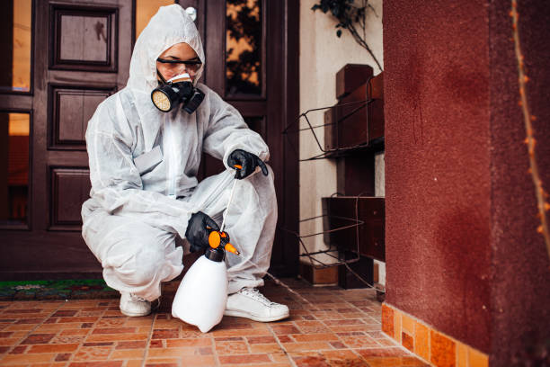Reliable Mosquito Control contractor in Bath, ME by Show Me Pest Control
