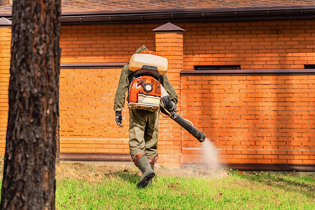 Top rated local Mosquito Control specialists in Bath, ME